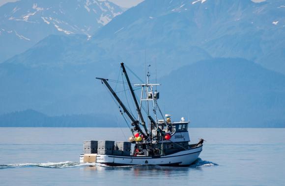 An image of a fishing boat at sea