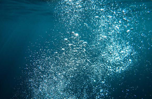 An image of bubbles rising in a water column