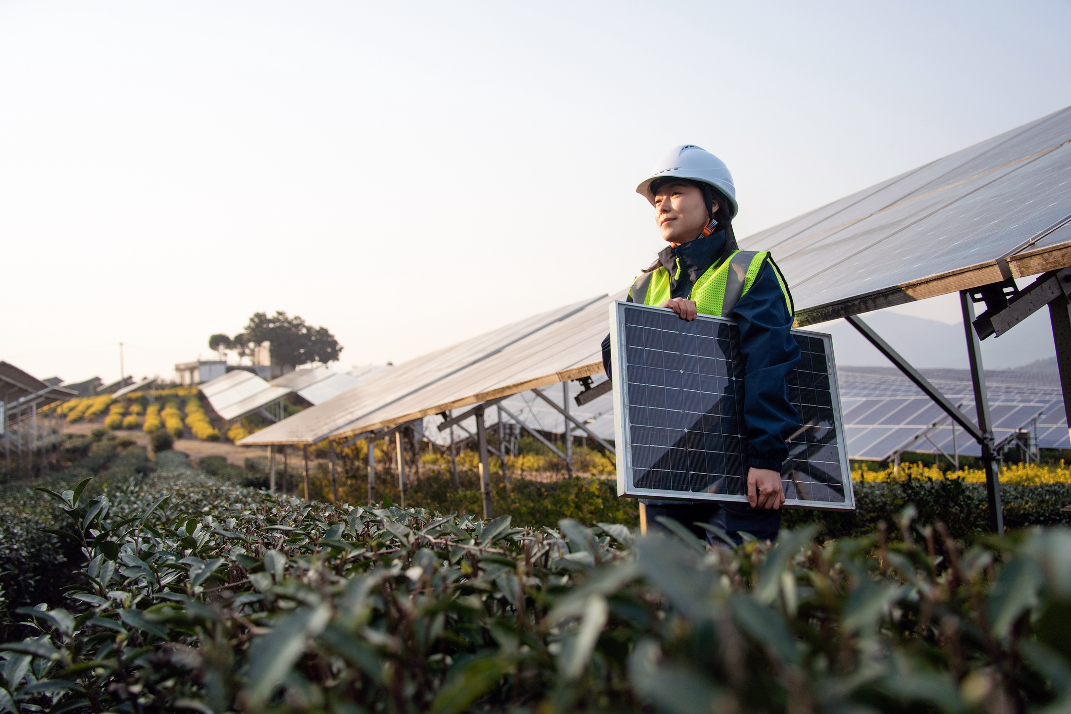 An engineer working at a photovoltaic power plant in China.