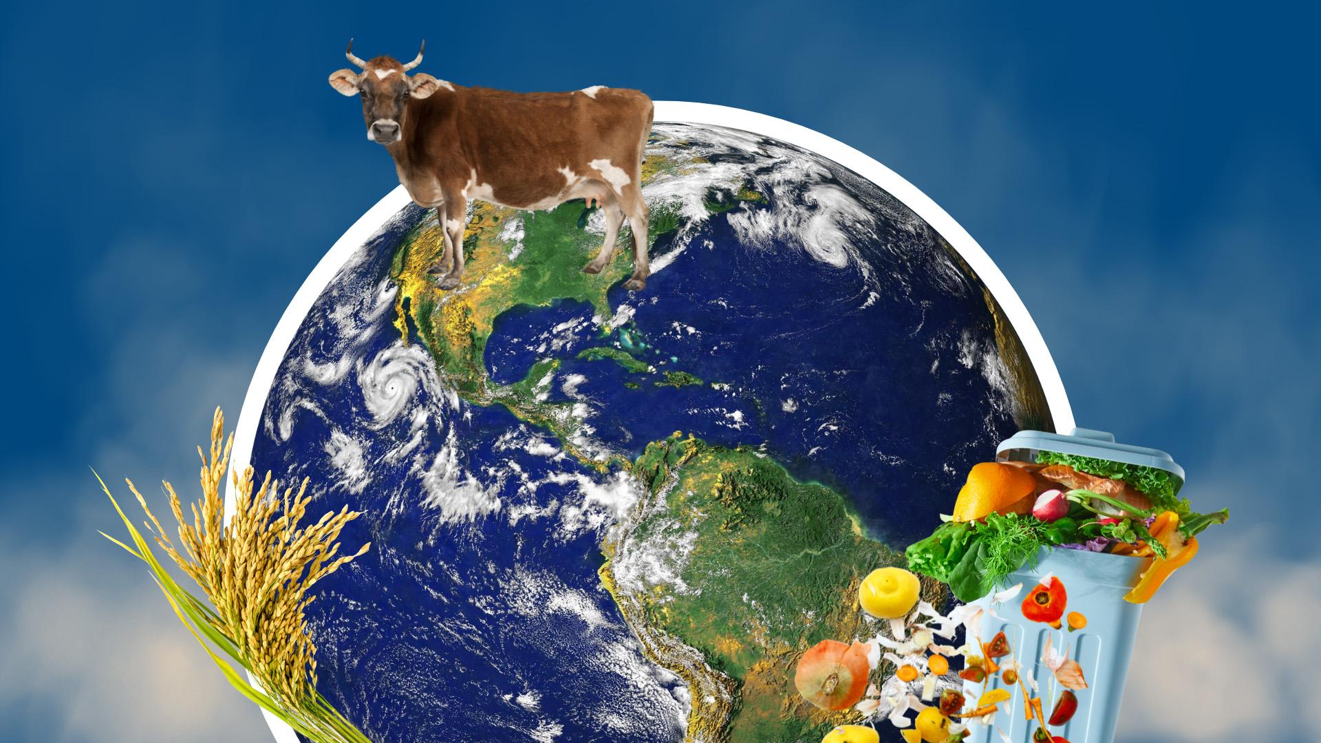 A graphic showing the world shrouded in smoke with an image of cattle, rice, and food waste